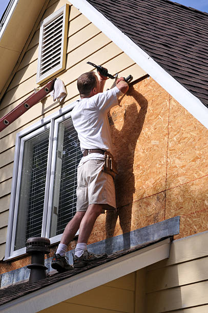 Best Shed Removal  in Fate, TX